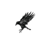 Murder of Crows