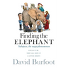 Finding the Elephant: Subspace, the Mega-phenomenon
