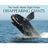 Disappearing Giants: The North Atlantic Right Whale