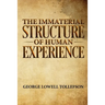 The Immaterial Structure of Human Experience