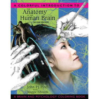 A Colorful Introduction to the Anatomy of the Human Brain: A Brain and Psychology Coloring Book