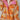 333a49bd-2163-4e77-8185-df801cfc9682-Max