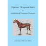 Equine Acupuncture - Conditions & Treatment Protocols