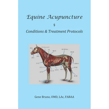 Equine Acupuncture - Conditions & Treatment Protocols