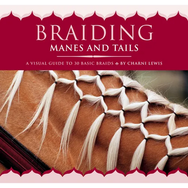 Braiding Manes and Tails: A Visual Guide to 30 Basic Braids