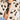 346fa0f0-05d8-46c9-bb18-3465dd8dd2f6-Max