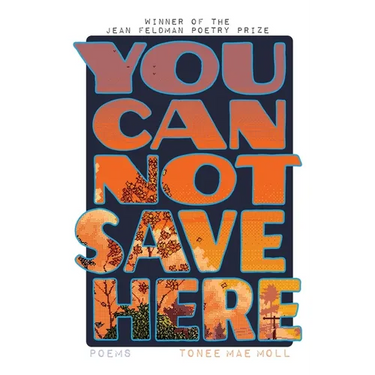 You Cannot Save Here