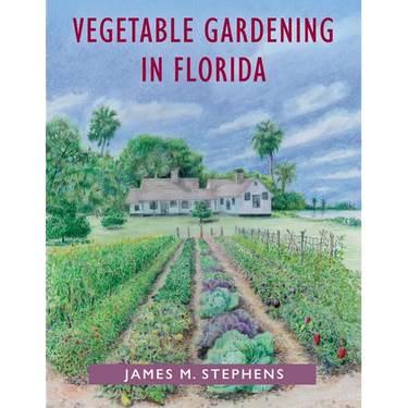 Vegetable Gardening in Florida