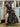 362924dc-8018-4e48-84d0-8cf827c5f205-Max