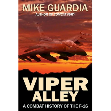 Viper Alley: A Combat History of the F-16