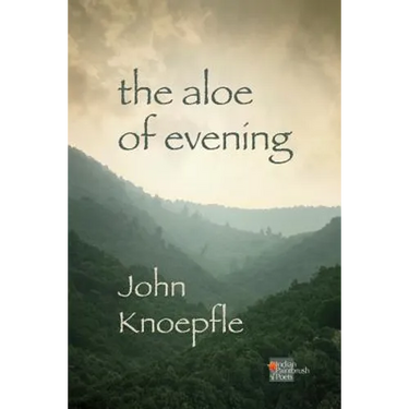 The Aloe of Evening