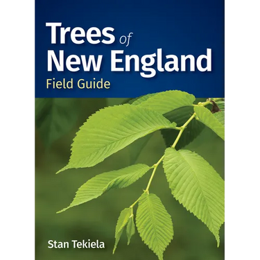 Trees of New England Field Guide