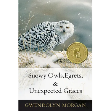 Snowy Owls, Egrets & Unexpected Graces
