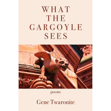 What the Gargoyle Sees