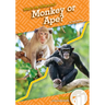 Monkey or Ape?