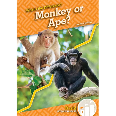 Monkey or Ape?