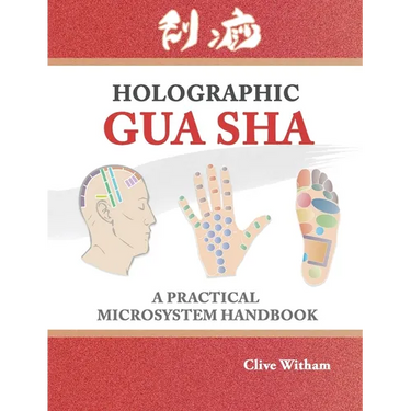 Holographic Gua sha: A Practical Microsystem Handbook