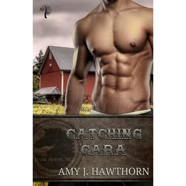 Catching Cara: Dark Horse Inc. Book 2