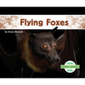 Flying Foxes