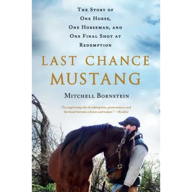 Last Chance Mustang: The Story of One Horse, One Horseman, and One Final Shot at Redemption