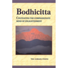 Bodhicitta: Cultivating the Compassionate Mind of Enlightenment