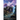 The Sound of Nothing