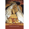 The Nine Ways of Bon: Excerpts from Gzi-Brjid,