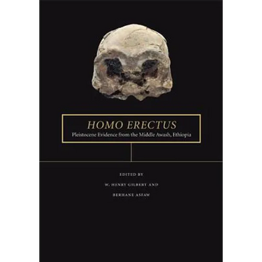 Homo Erectus: Pleistocene Evidence from the Middle Awash, Ethiopia