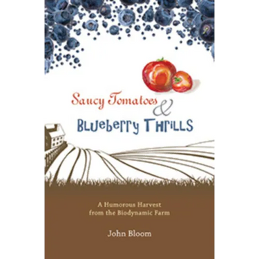 Saucy Tomatoes and Blueberry Thrills