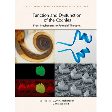 Function and Dysfunction of the Cochlea: From Mechanisms to Potential Therapies