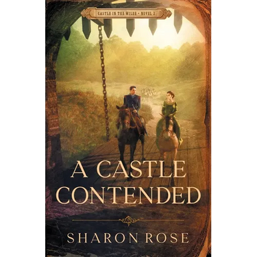 A Castle Contended: Castle in the Wilde - Novel 2