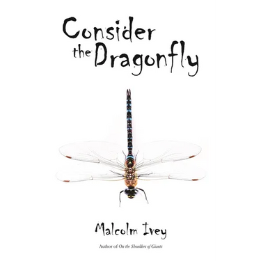 Consider the Dragonfly