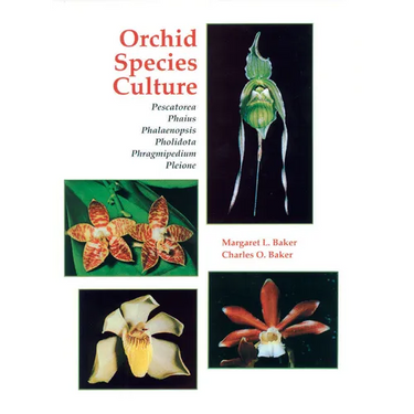 Orchid Species Culture: Pescatorea, Phaius, Phalaenopsis, Pholidota, Phragmipedium, Pleione