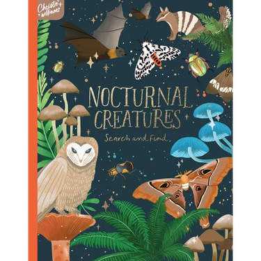 Nocturnal Creatures Search and Find: Search and Find Book