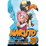Naruto, Vol. 30: Puppet Masters