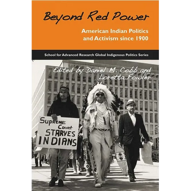 Beyond Red Power: American Indian Politics and Activism Since 1900