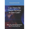Can There Be Three Persons in One God?: Why You Should Question the Trinity Doctrine