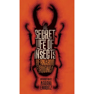 The Secret Life of Insects and Other Stories