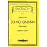 Cadenza for the Schneidermann Violin Concerto