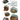 Freshwater Mussels of Tennessee