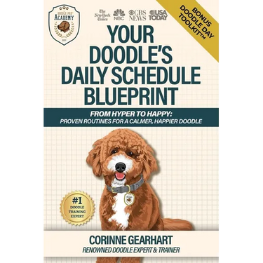 Your Doodle's Daily Schedule Blueprint: From Hyper to Happy: Proven Routines For a Calmer, Happier Doodle