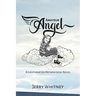 Amateur Angel: A Lighthearted Metaphysical Novel