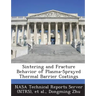Sintering and Fracture Behavior of Plasma-Sprayed Thermal Barrier Coatings