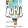 Cabo Storm: A PI Series