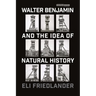 Walter Benjamin and the Idea of Natural History