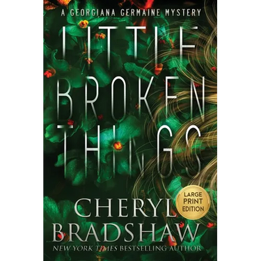 Little Broken Things, Large Print Edition