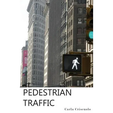 Pedestrian Traffic