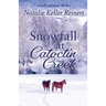 Snowfall at Catoctin Creek