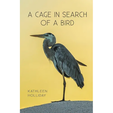 A Cage in Search of a Bird