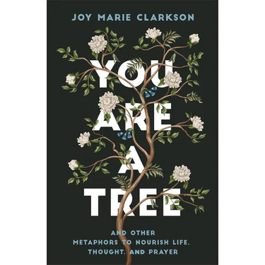 You Are a Tree: And Other Metaphors to Nourish Life, Thought, and Prayer